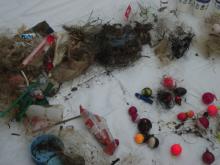 Voices For Animals Cleans Up Harmful Fishing Tackle in North Park