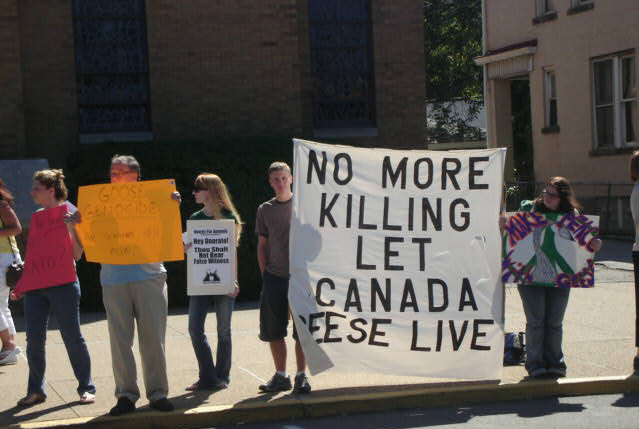 VFA Activists Are Co...