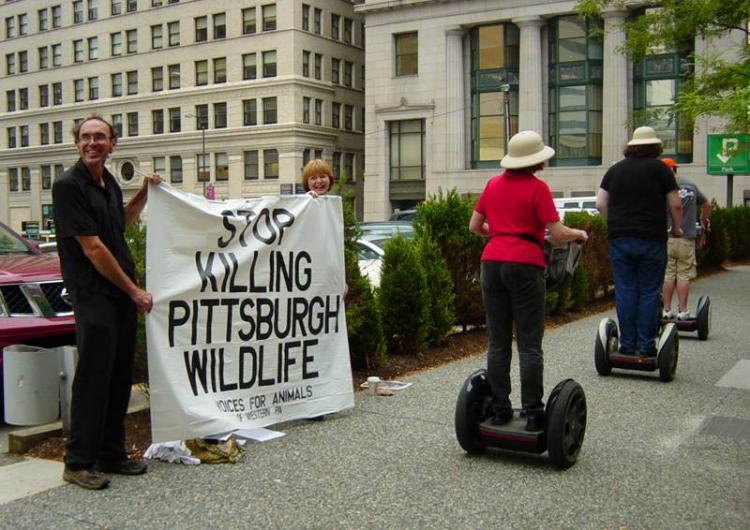 VFA Activists Oppose...