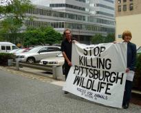 Voices For Animals of Western PA Speaks Out Against Pittsburgh's Killing of Wildlife