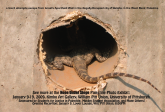 Hope Under Siege Palestine Photo Exhibit